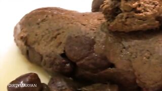 DirtyMaryan - Pooping Long snake on a plate in my kitchen