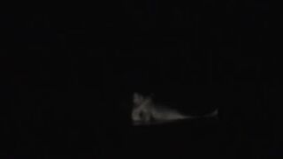 FU10 Night Watching 103