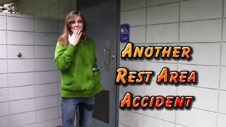 Another Rest Area Accident