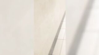melissaredpassion - Shit at the Lakeside Shopping Center Toilet
