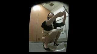 24usd15386772wc Japanese style toilet for beautiful women