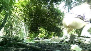 Public Piss Poster 0042