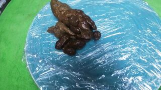 Brooklyn’s Bottom - Solid Turds Served Up