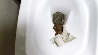 marcos579 - Toilet Plops