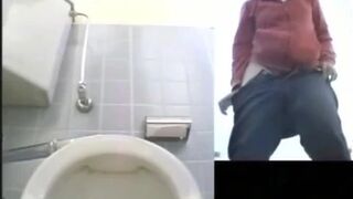Park Toilet Voyeur