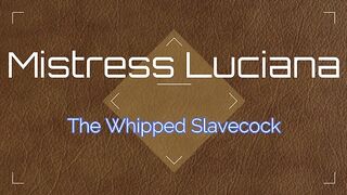 Mistress Luciana - The Whipped Slavecock