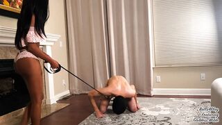 Leashed and Destroyed 3