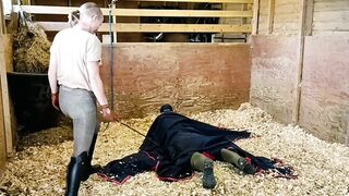 Cropped, Crushed, Wrangled and Rolled, trampled, humiliated, and discarded in extreme stable discipline.