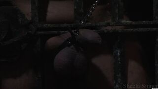 Sheela Sinner - Go For Walk With The Balls