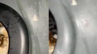 Portapottyqueen - First portapotty escapade