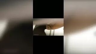 China Toilet Voyeur 1672