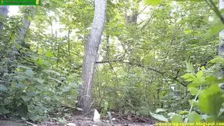 Voyeur Outdoors 2022 (011-020)